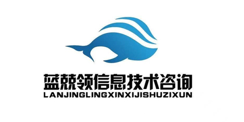 藍(lán)兢領(lǐng) 信息技術(shù)咨詢領(lǐng)域的杰出專家