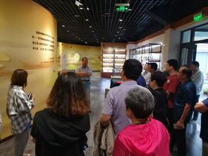 橋西教體科局舉辦商道文化與藝術交流活動，共促區域發展新活力